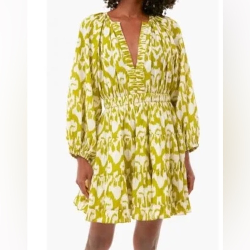 Winds Mini Dress